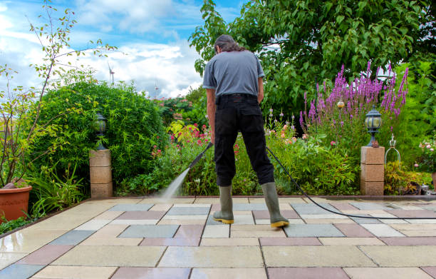 Pre-Holiday Cleaning in Wauna, WA