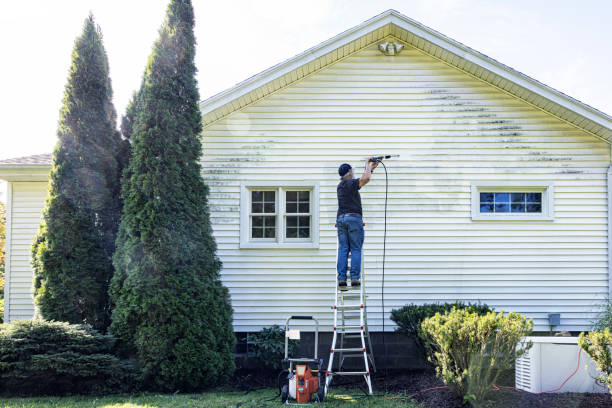 Professional Pressure Washing Services in Wauna, WA